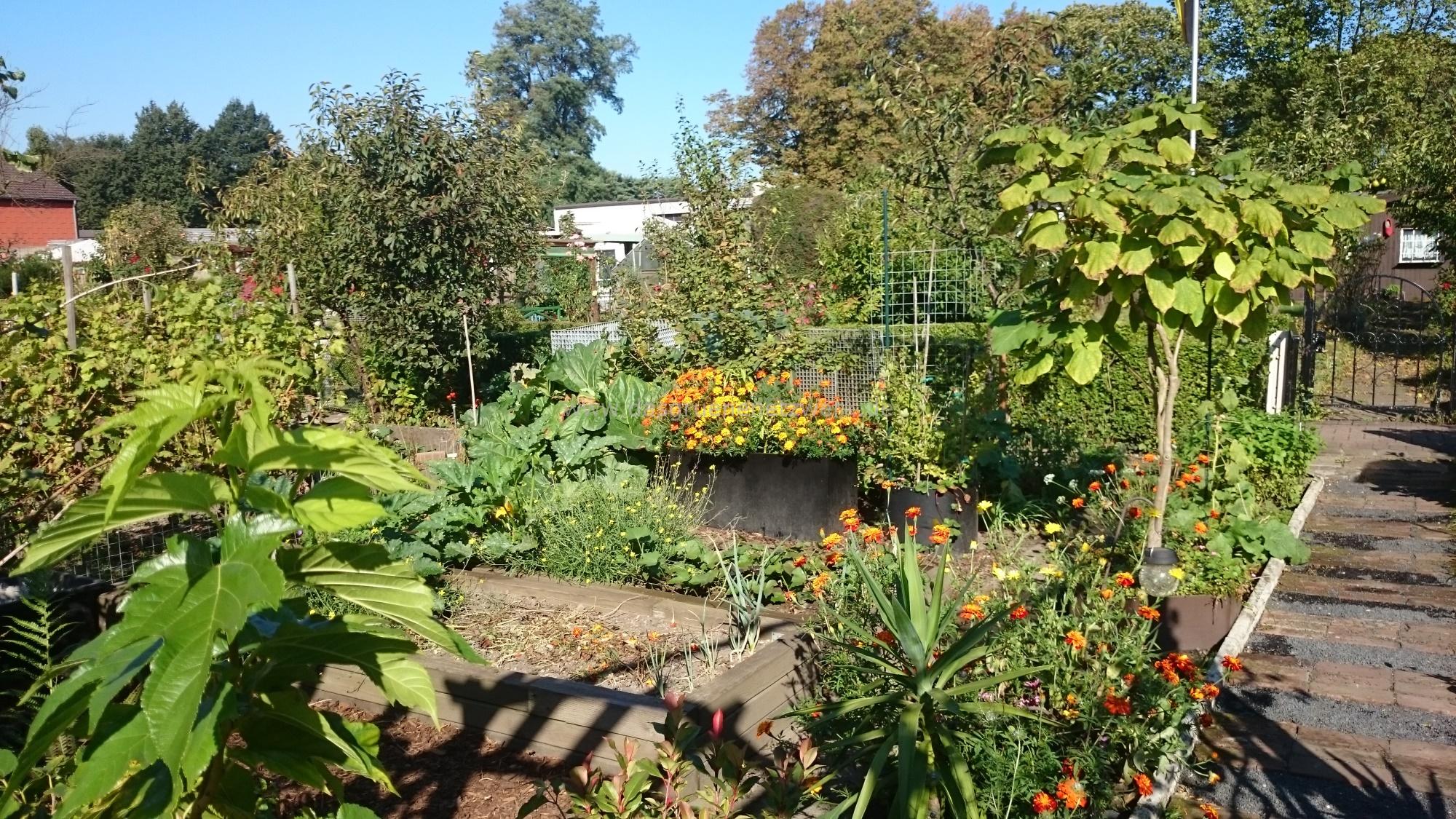 Gartentagebuch September 2016
