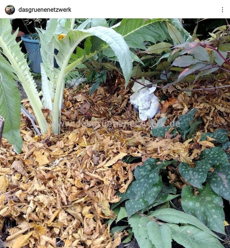 Aktueller Mega-Trend: #gartenaufräumenistdoof