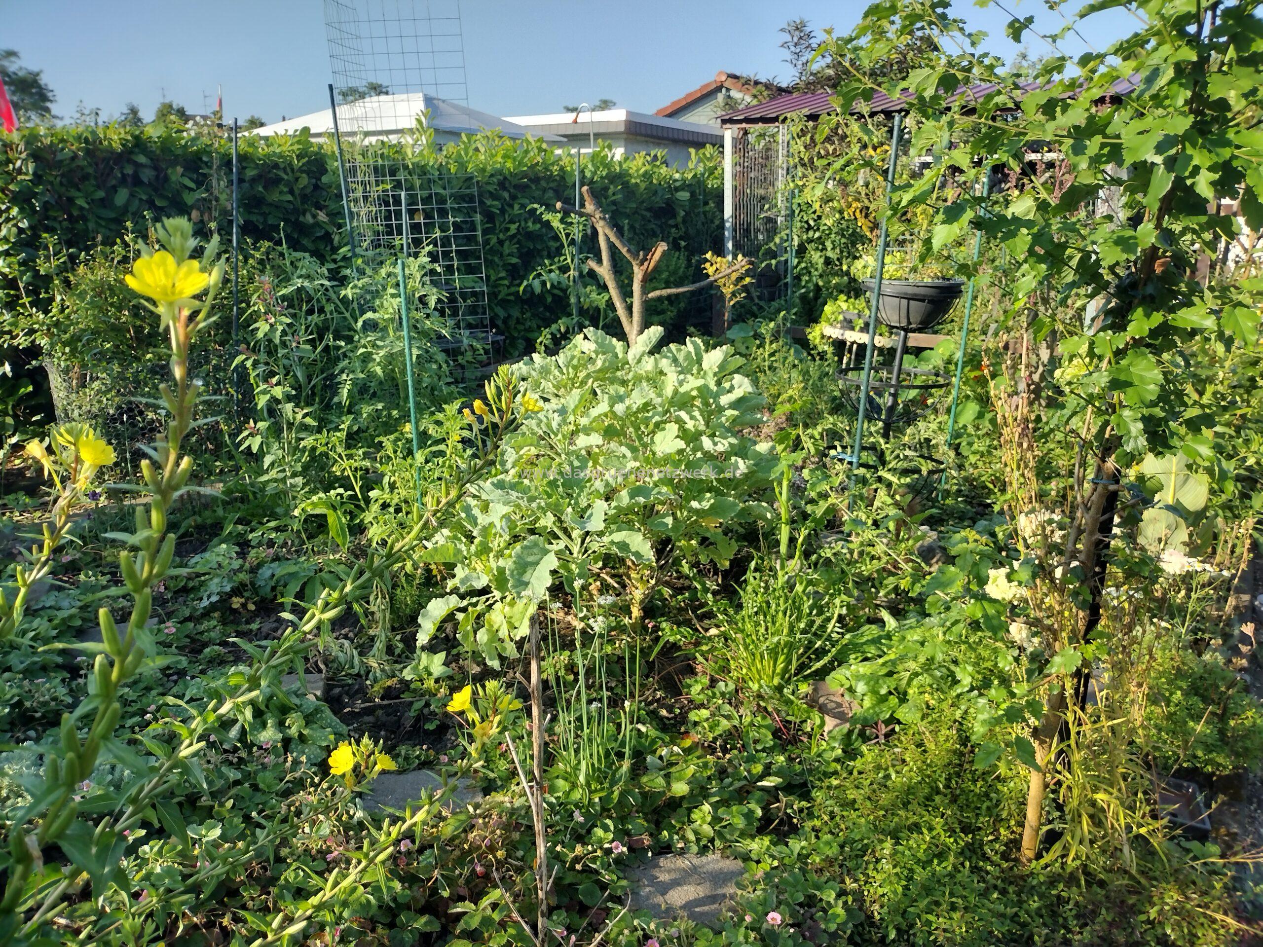 Leckergarten 2024