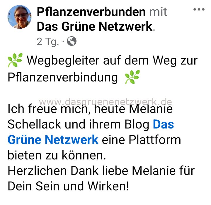 Seitenempfehlung: Pflanzenverbunden