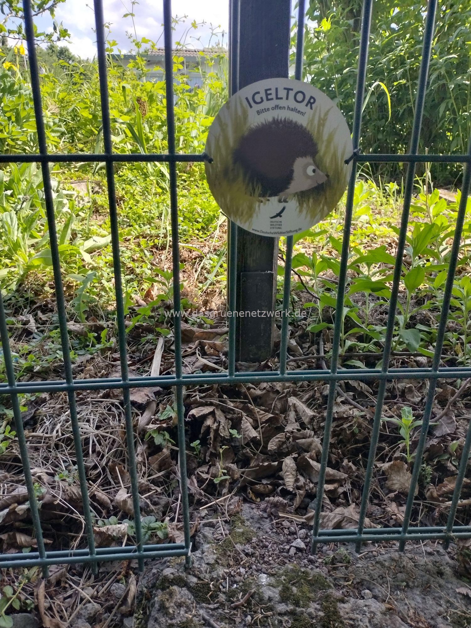 Igelfreunde aufgepasst!