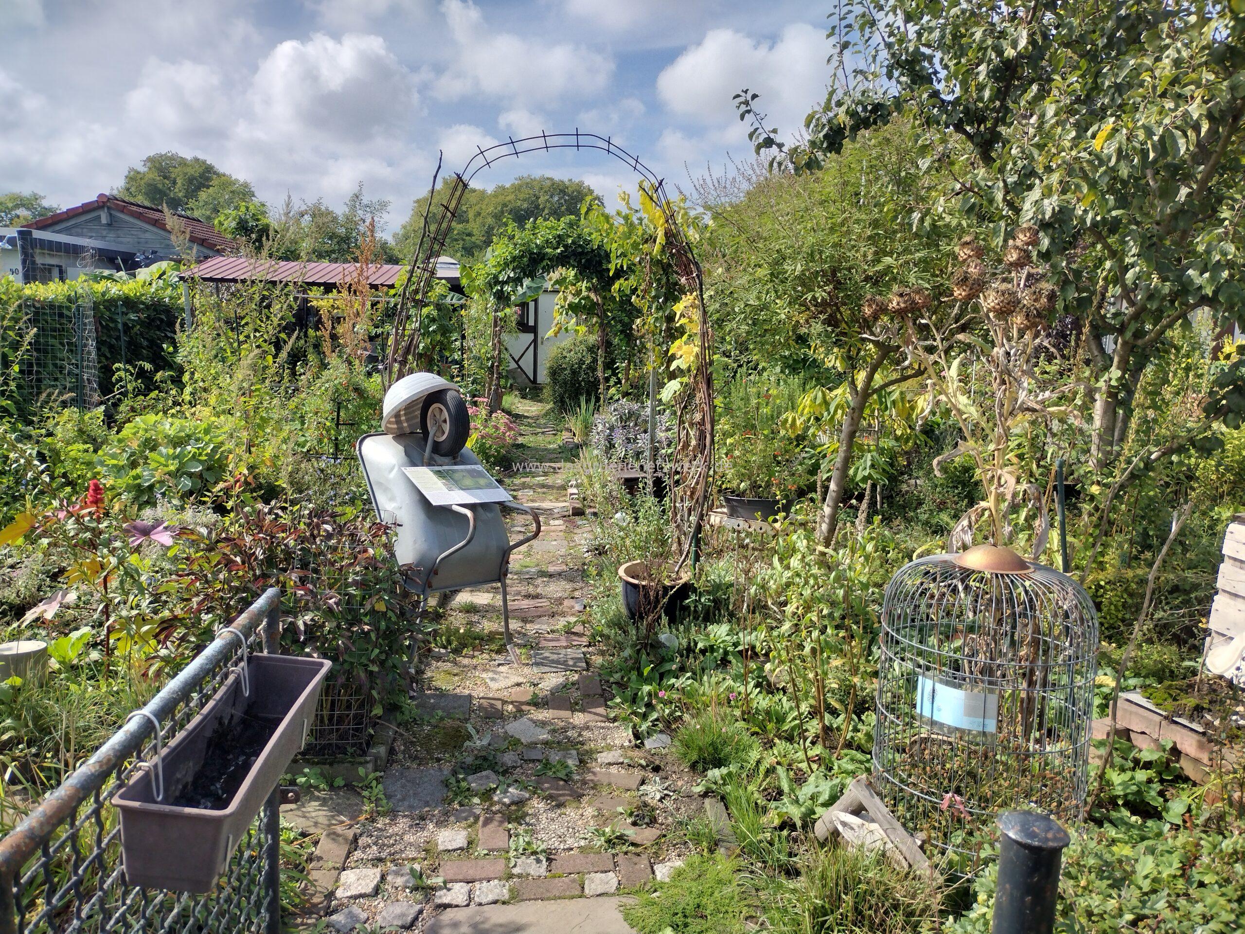 Bedrohte Pflanzen für den heimischen Garten