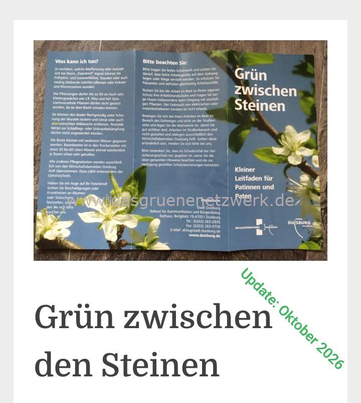 Update: Patenbaumscheiben